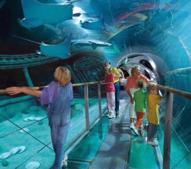 Disney Cocooning A 5 Minutes Du Parc Coupvray Luaran gambar